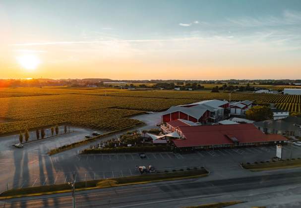 Pillitteri Estates Winery