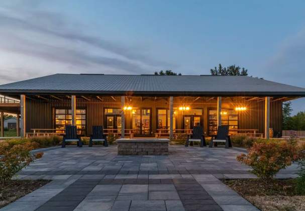 Queenston Mile Vineyard