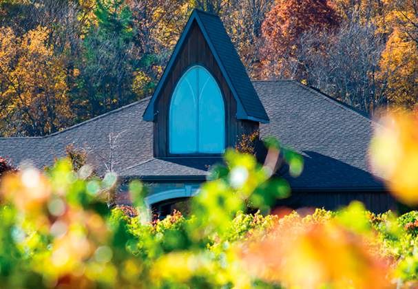 Ridgepoint Wines