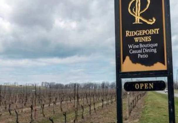 Ridgepoint Wines