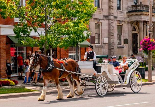 Sentineal Carriages