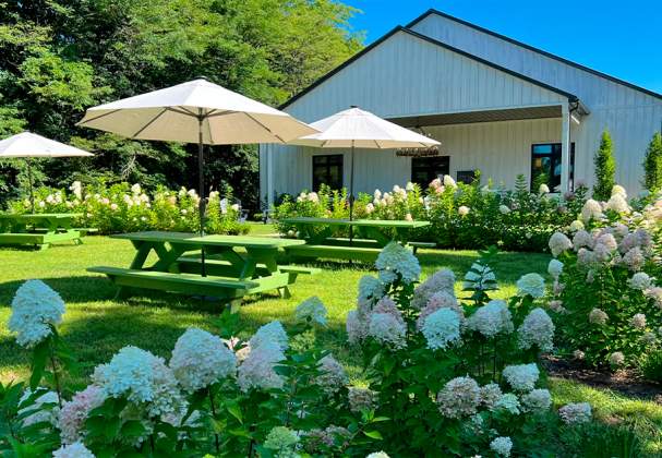 Sons & Daughters Winery