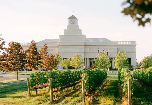 Stone Eagle Winery