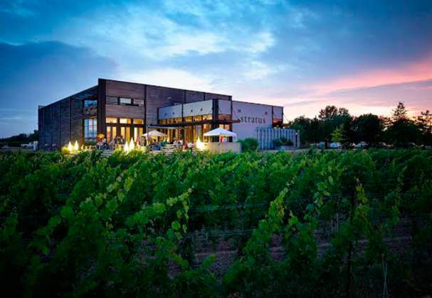 Stratus Vineyards