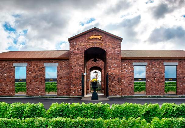 The Hare Wine Co.