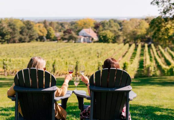 The Organized Crime Winery