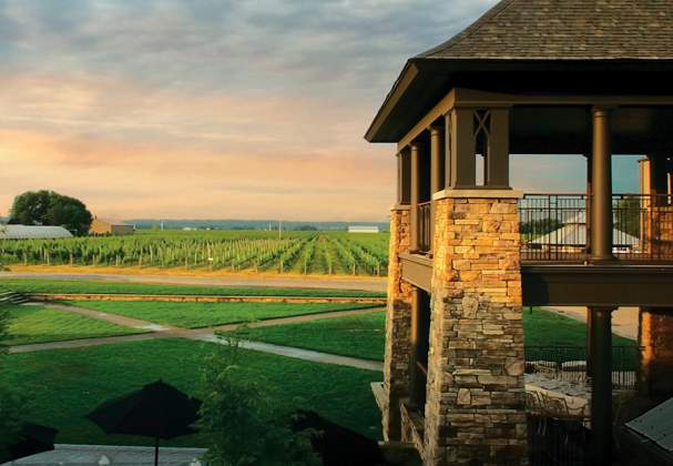 Trius Winery & Restaurant