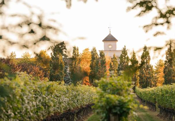 Two Sisters Vineyards
