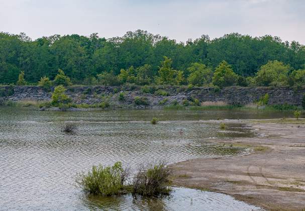 Wainfleet Wetlands Conservation Area