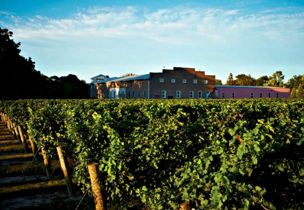 Wine Country Cooking School