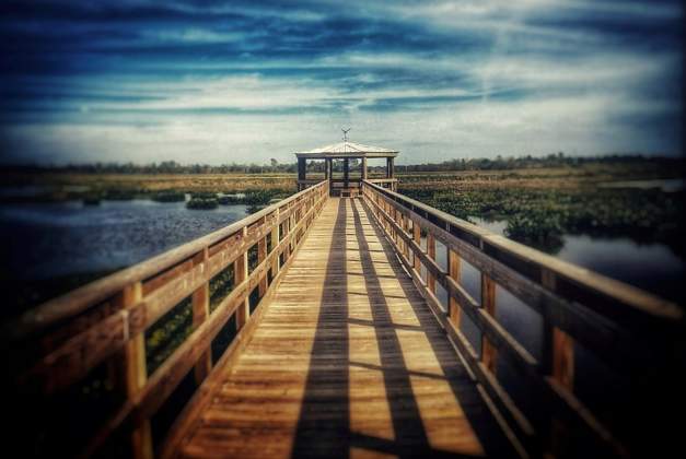 Cattail Marsh Boardwalk In Beaumont, TX