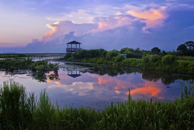 Creole Nature Trail
