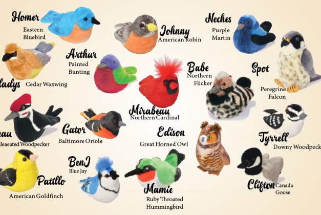 Meet the Birdies