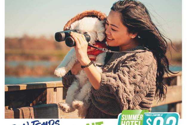 summer hotel package