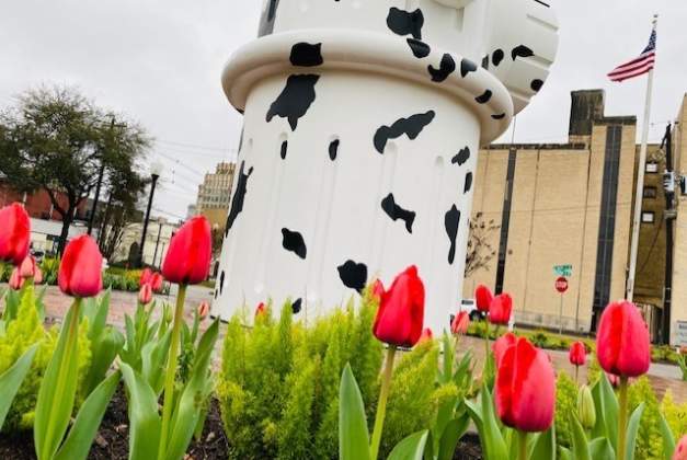Dalmatian patterned fire hydrant at the Fire Museum in Beaumont, TX