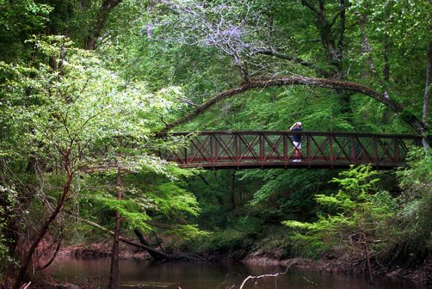 Big Thicket National Preserve