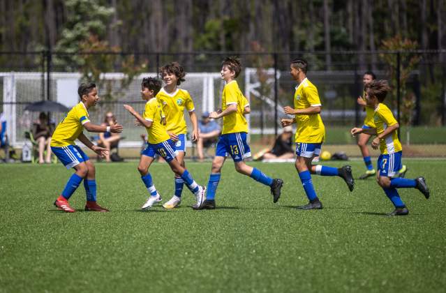 soccer players on field