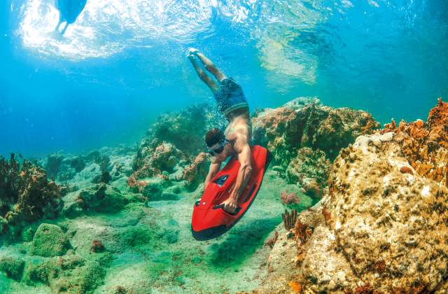 Unique Water Adventures You Need to Try in Greater Fort Lauderdale