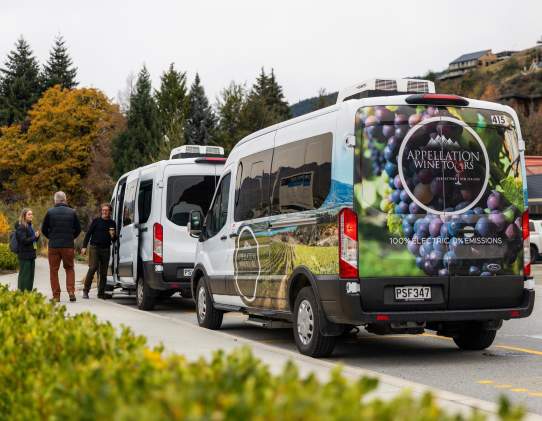 Two electric buses with vineyard-themed graphics are parked along a roadside, with a few people standing nearby. The setting includes trees and hilly terrain in the background