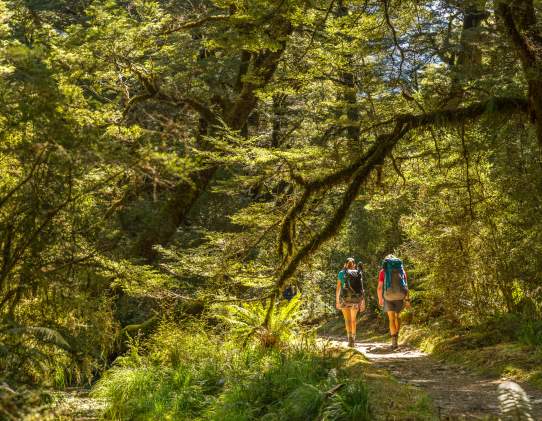 Ultimate Hikes