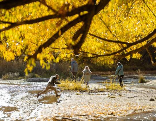 Arrowtown River Trail