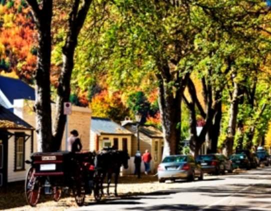 Arrowtown Bike Hire