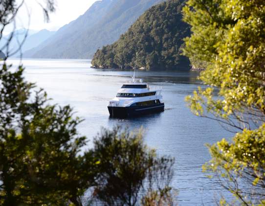 Fiordland Discovery
