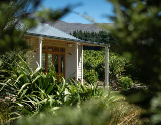 Coxs' Vineyard