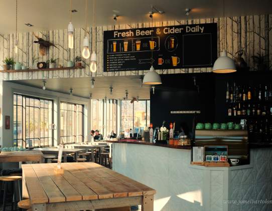 Shelter Bar and Kitchen