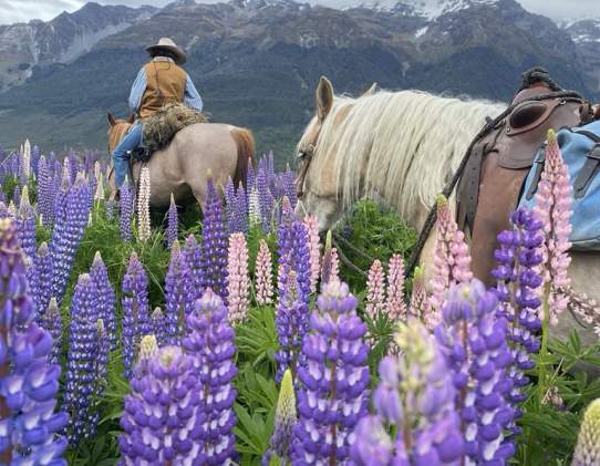 Lighthorse Adventures