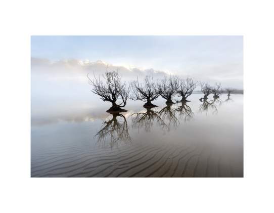 Chris McLennan Photography