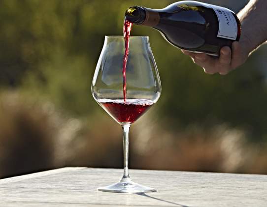 Amisfield Lake Hayes Winery
