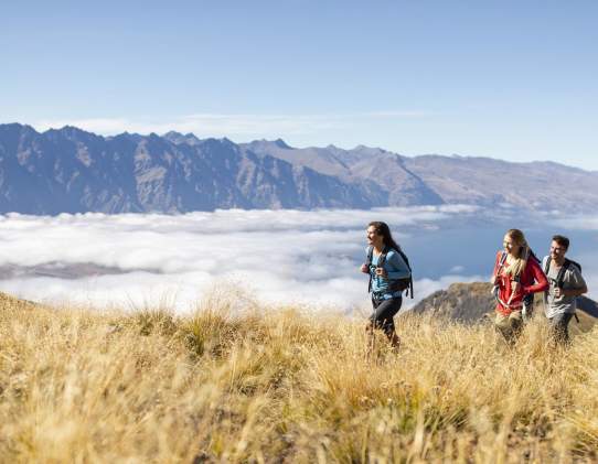 Ben Lomond Track