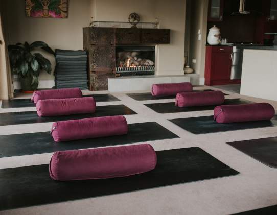 Nadi Wellness