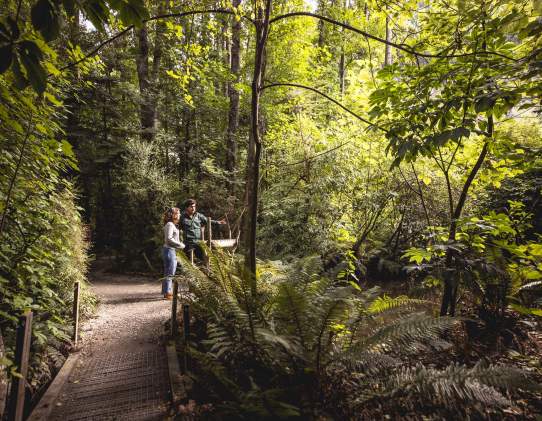Kiwi Park
