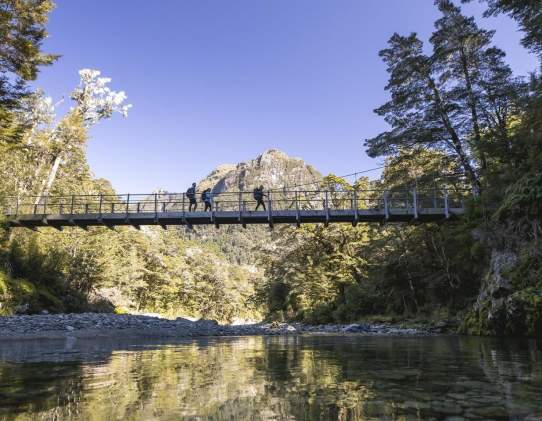 Routeburn Nature Walk