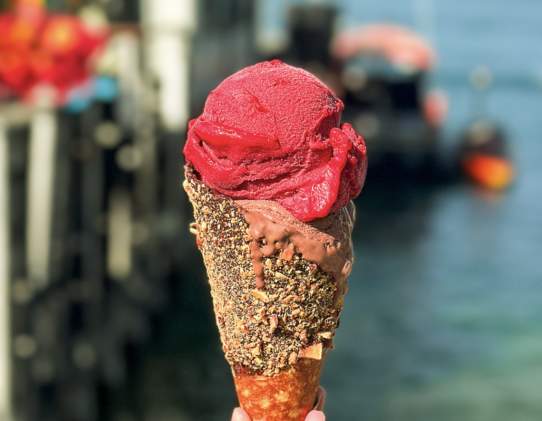 Patagonia Chocolates