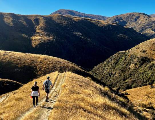Sawpit Gully Trail