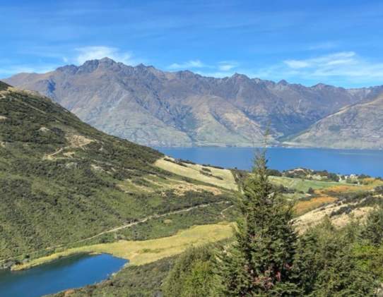 Mount Crichton Loop Track