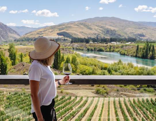 Appellation Wine Tours