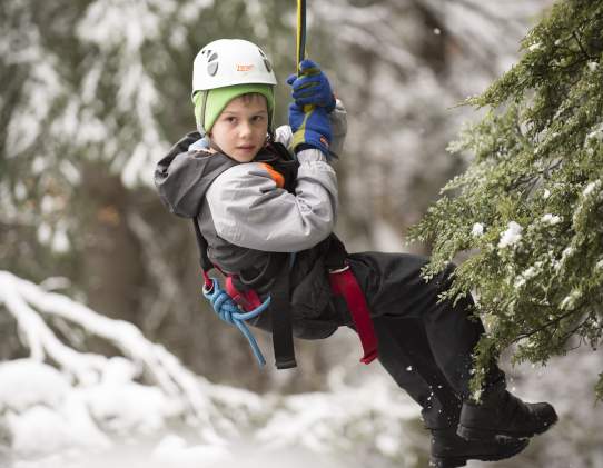 Ziptrek Ecotours