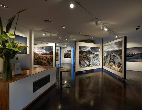 Romer Gallery