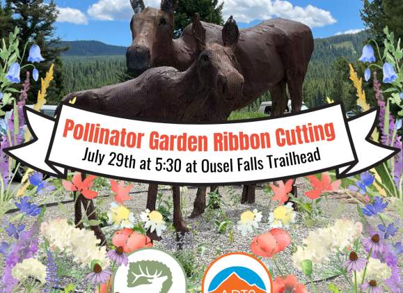 Big Sky Blooms: Celebrating Art and Nature at the Ousel Falls Pollinator Garden Ribbon Cutting!