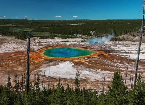 Yellowstone: Maximize Your Trip with a Guided Tour