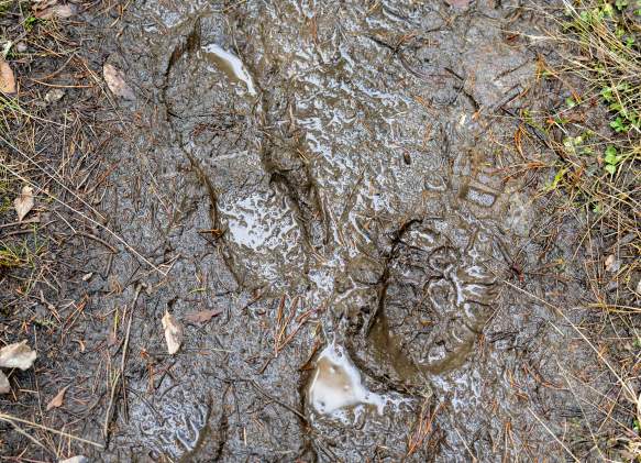 Tread Lightly & Leave No Trace: Essential Spring Hiking Etiquette