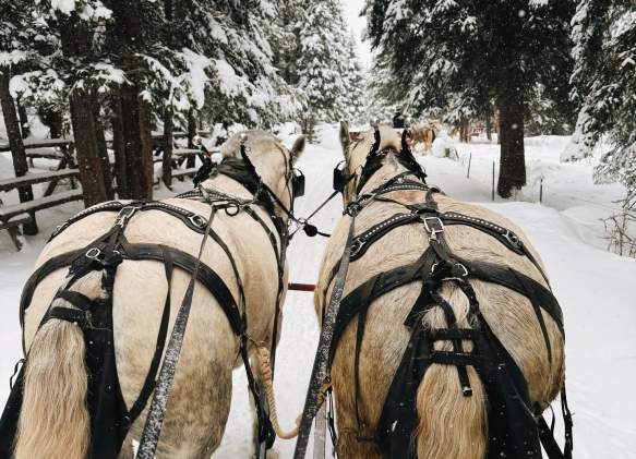 Fun Things To Do In Big Sky This Winter