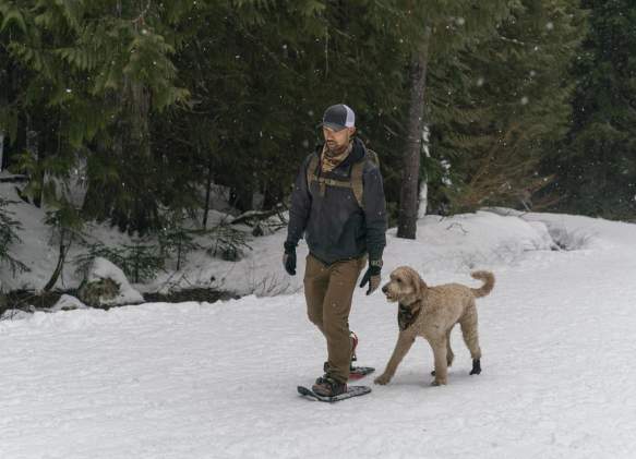 Pet Friendly Lodging In Big Sky, MT