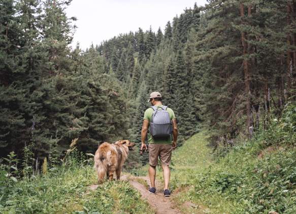 Dog Friendly Hikes in Big Sky