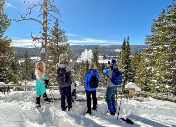 Top Reasons To Visit Yellowstone National Park In Winter