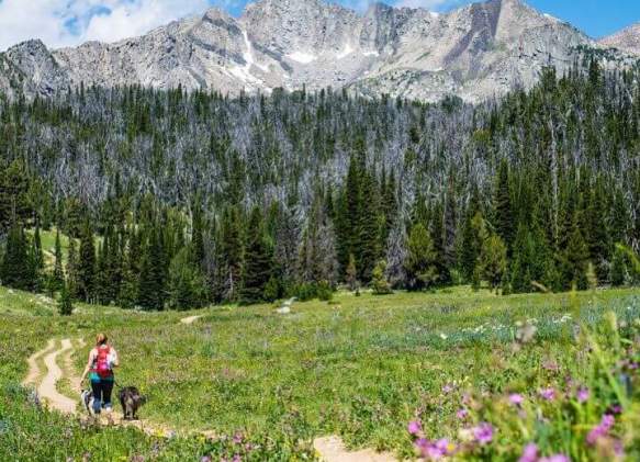 10 Hiking Essentials In Big Sky Country